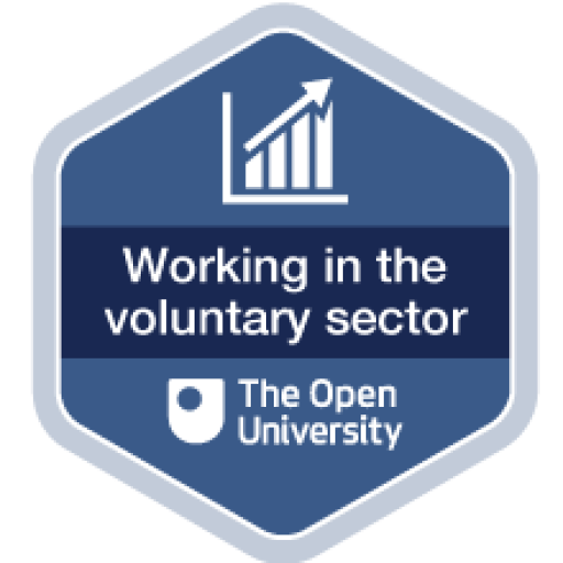 Working in the Voluntary Sector Badge